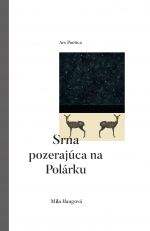 Mila Haugová: Srna pozerajúca na Polárku
